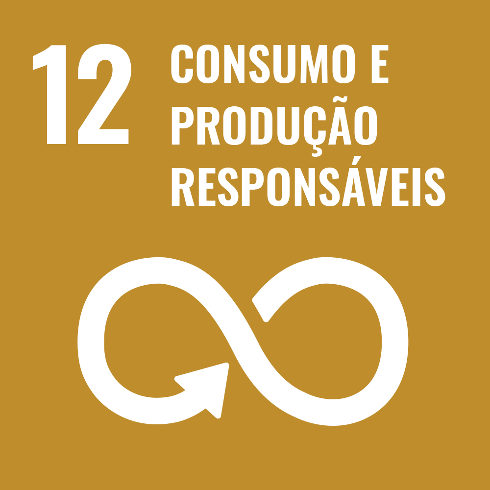ODS 12