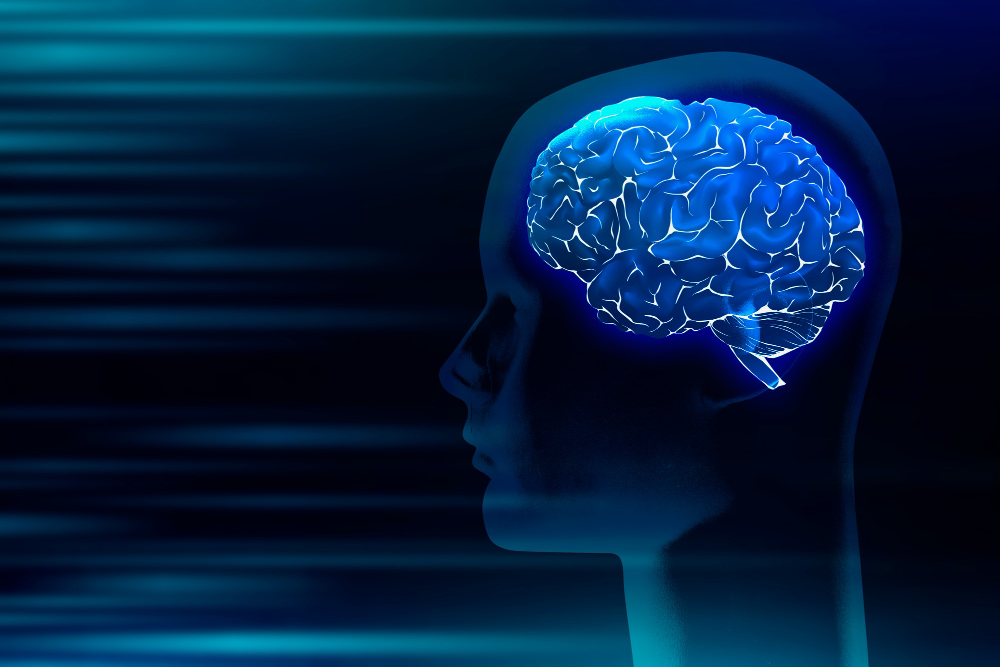 human brain medical digital illustration