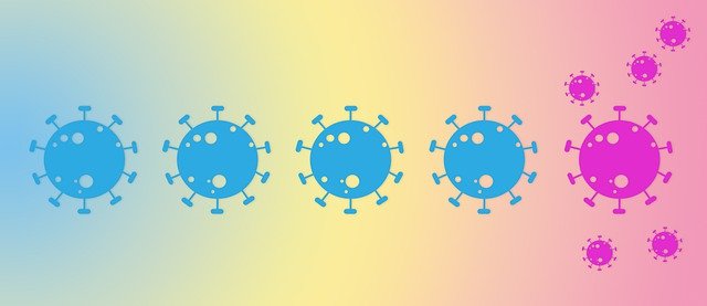 virus gfebc