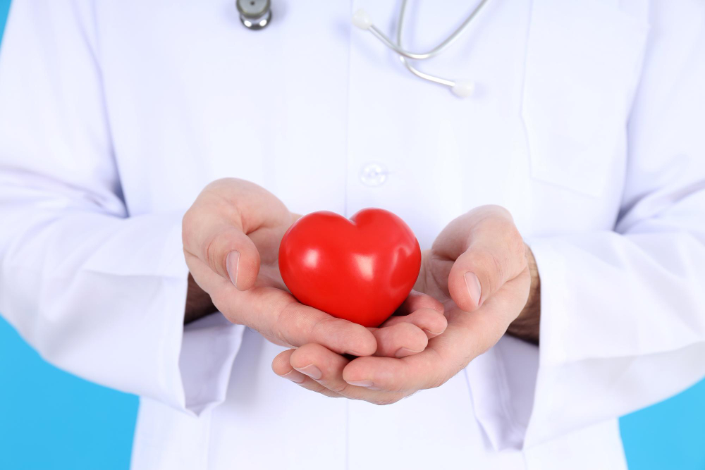doctor intern holds red heart close up