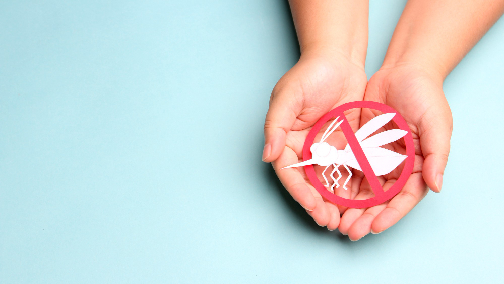 hands holding paper no mosquito concept bite for world malaria day