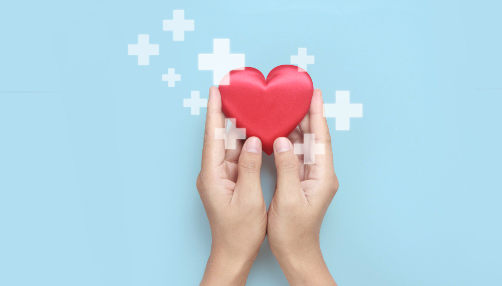 hands holding a red heart heart health donation concepts