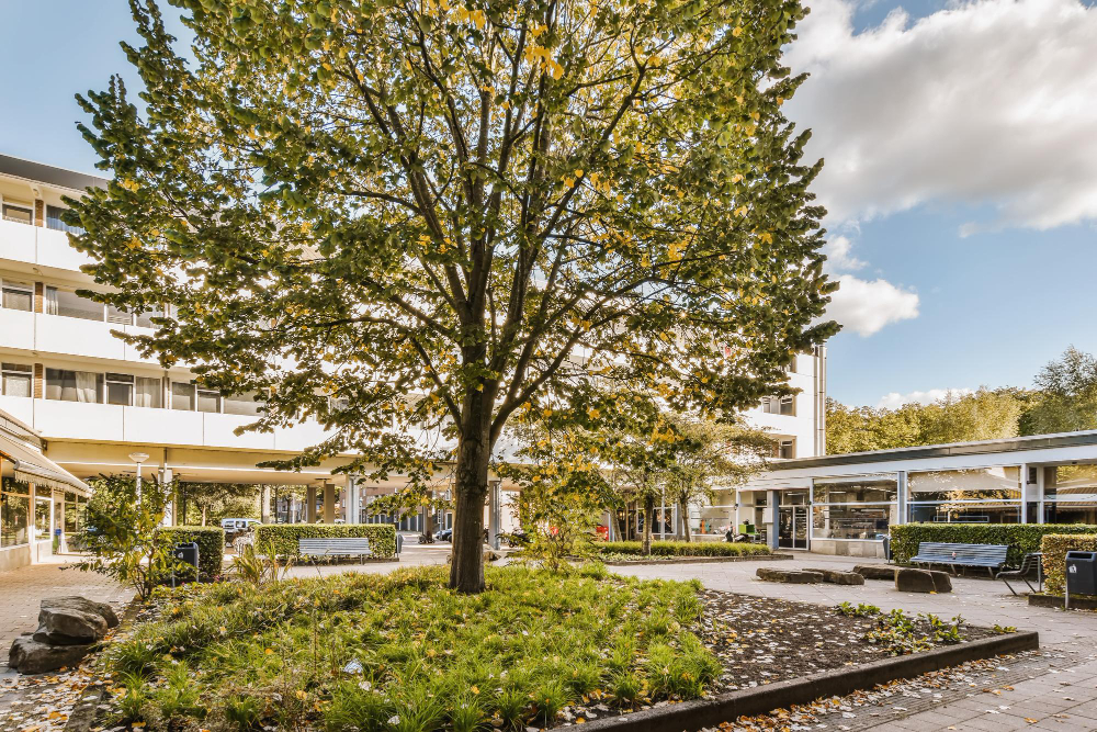 tree courtyard front building