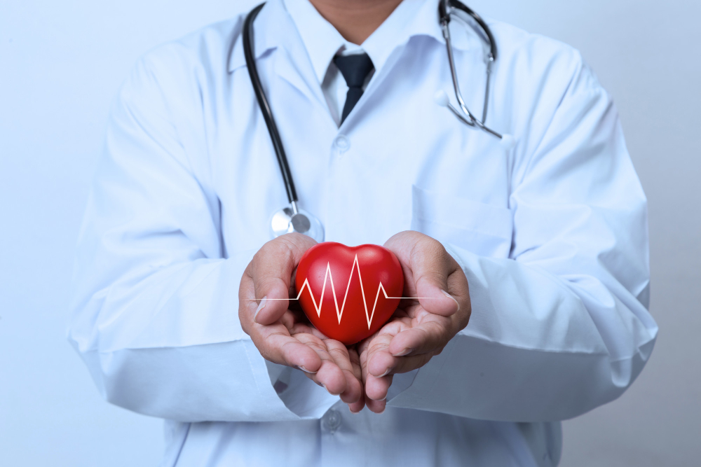 doctor holding red heart