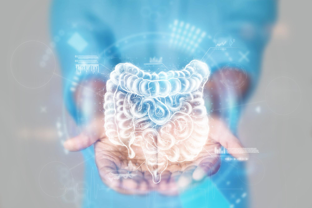 medical concept doctor s hands blue coat closeup xray intestines ultrasound internal organs medical care anatomy doctor s appointment medical technology mixed media